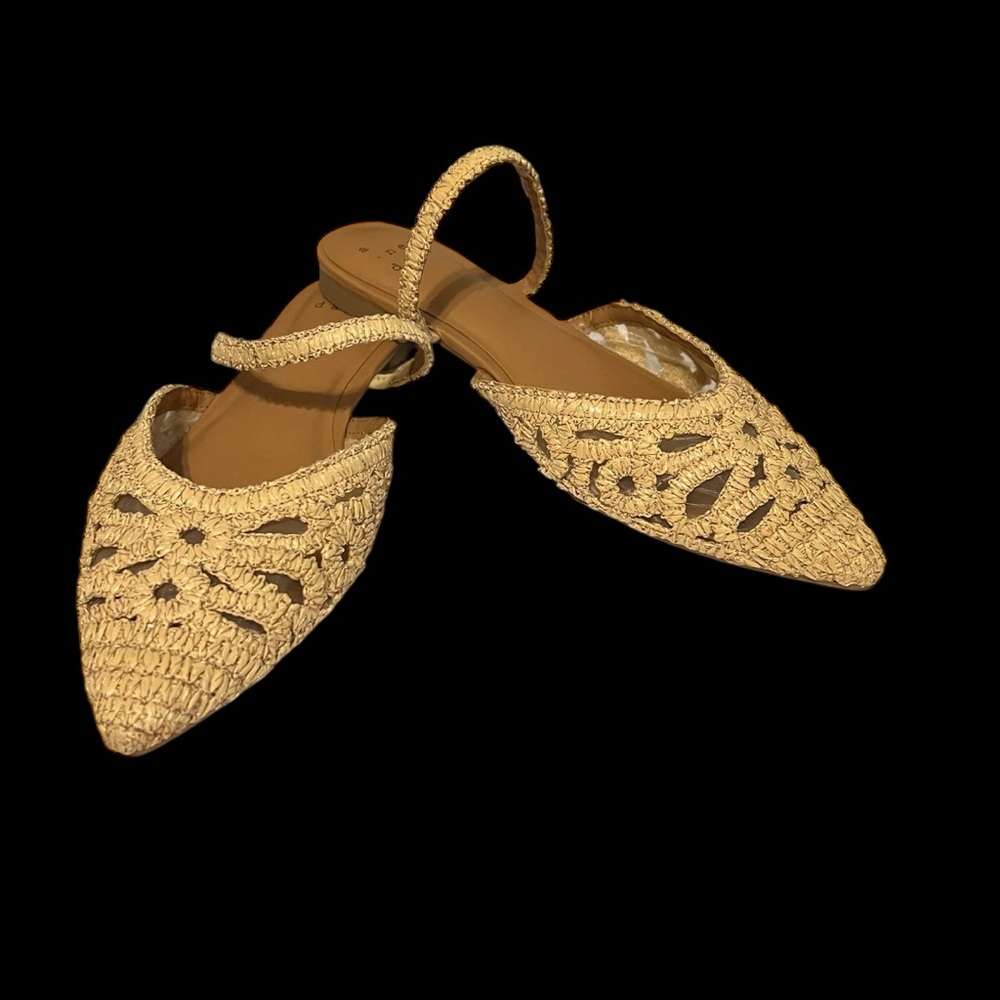 a new day Woven Straw Pointed Toe Slingback Flats in Natural